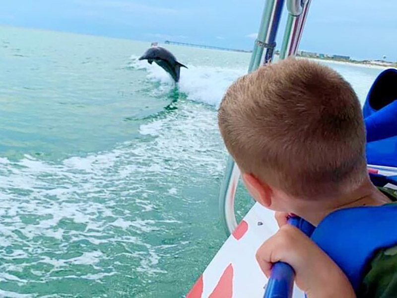 Destin Dolphin Watching Speedboat Cruise